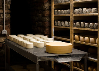 cheese production