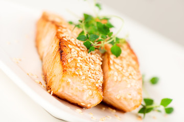 Grilled salmon on white plate angled