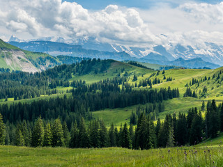 Typical summer mountains Switzerland landscape
