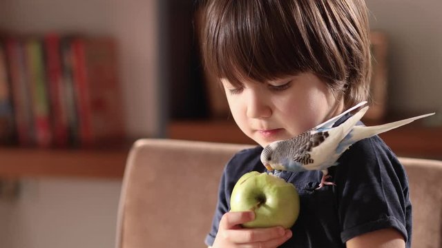 The child is feeding an apple to the bird