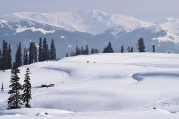 Gulmarg Gondola phase 1, Kungdoor, Kashmir. Snow/ice adventure activities snow rides, snow boarding, ice skating and world famous ski slopes for skiing. Christmas & New year holidays in Kashmir, India