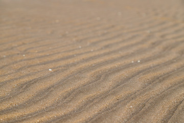 Fototapeta na wymiar Beach wavy pattern