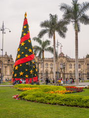 Fototapeta premium Christmas tree