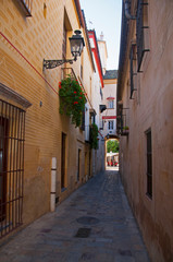 Old narrow street between two buildings in Seville, Spain