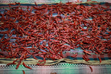 Red dried chillies, dried in the sun in a sheet