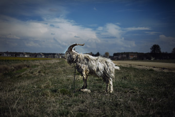 Soul in the mountains