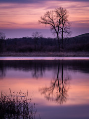 Fototapeta na wymiar evening light over a lake
