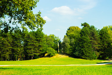Fototapeta premium Summer in the park trees alley. Empty brick road in the park