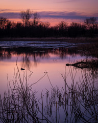 evening light over a lake