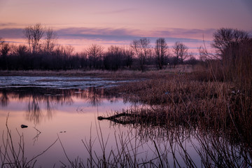 Fototapeta na wymiar evening light over a lake