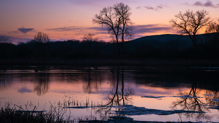 Plakat evening light over a lake