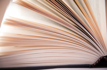 background with bright book pages