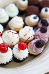 Mini Cupcakes