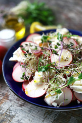 Selective focus. Healthy salad on a plate. Salad with radish, white cheese and microgreens. Keto diet. Food quarantined. Cooking at home.