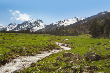 stream in Caucasus Mountains. Karachay-Cherkessia landscape, Russia