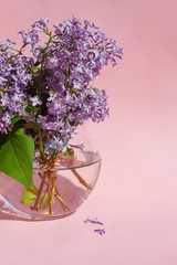 flower, lilac, purple, isolated, blossom, spring, floral, pink, nature, plant, flowers, violet, leaf, bloom, green, beauty, decoration, petal, bud, bouquet, blooming, beautiful, flora, marriage, 8 mar