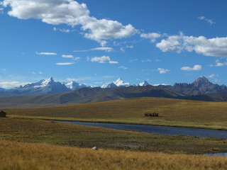 Obraz premium Pampa in Andes, near Catac, national park Huascaran, Peru