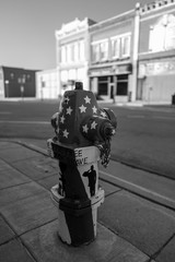 flag,fire hydrant
