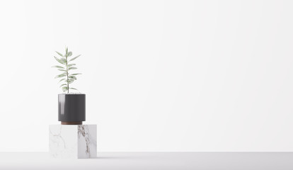 plant in pot isolated on white background. Minimal houseplant home decor, 3D render