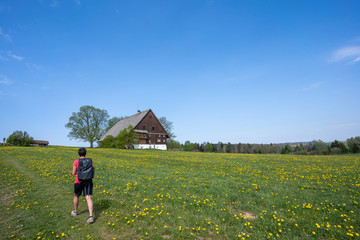 Schwarzwald im Frühling