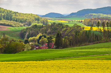 Fototapeta premium A beautiful german agriculture landscape with light and yellow rape fields