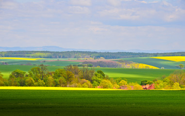 Fototapeta na wymiar A beautiful german agriculture landscape with light and yellow rape fields