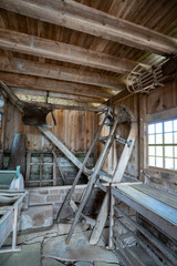 Obraz premium Schwarzwald im Frühling