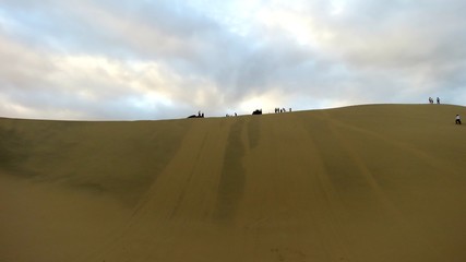 Fototapeta na wymiar Desierto Huacachina Peru