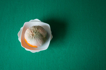 ISOLATED ROTTEN ORANGE ON WHITE DISH ON GREEN BACKGROUND