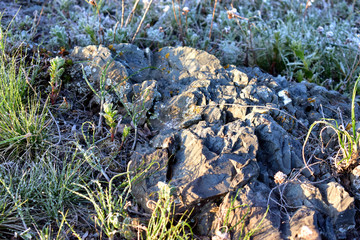 Ural spring landscape of the Ural river and so on