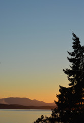 Sunset over sea and mountains with tree on one side