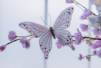 butterfly on pink flower