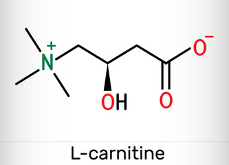 L-carnitine, Levocarnitine, Carnitine, C7H15NO3 molecule. Structural chemical formula