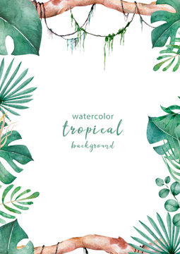 Jungle plam and leaves of tropical plants. Green rectangle horizontal floral frame with liana branches. Hand drawn watercolor exotic illustration. Space for text.