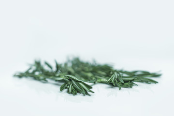 Freshly picked rosemary herbs. Green sprigs of rosemary isolated on a white background. Healthy food and culinary herbs.