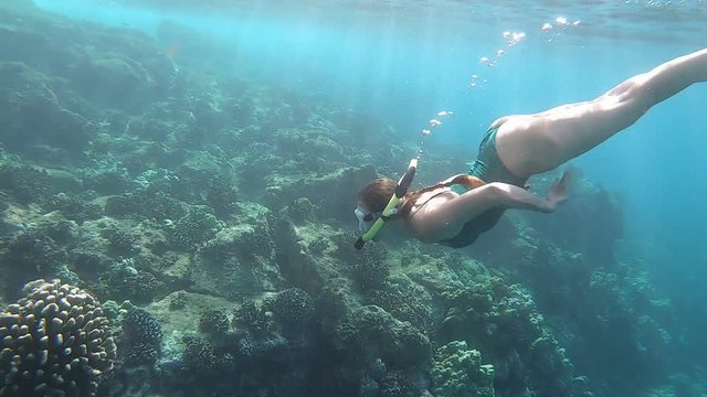 underwater video of a young woman swimming and snorkeling with the coral reef on Hawaii, Maui, USA