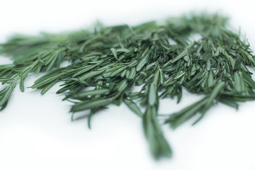 Freshly picked rosemary herbs. Green sprigs of rosemary isolated on a white background. Healthy food and culinary herbs.
