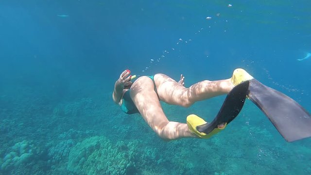 underwater video of a young woman swimming and snorkeling with the coral reef on Hawaii, Maui, USA