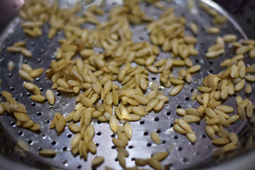 close up of a pile of dried muskmelon on a white background