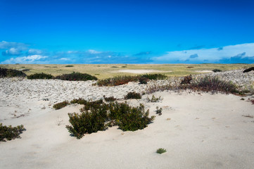 Cape Cod Aiport National Seashore Massachusetts sand dunes
