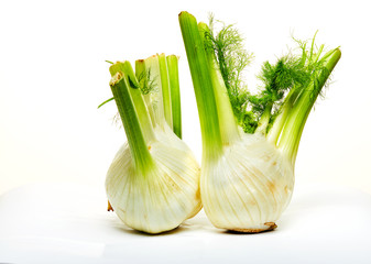 Fresh organic fennel bulbs are isolated on a white background.