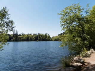 Obraz premium Naturpark Südschwarzwald. Fußmarsch rund um den Bergsee oberhalb Bad Säckingen unter einem frühlingsblauen Himmel in Baden-Wüttemberg 