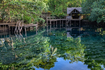 Fototapeta na wymiar lush rainforest around freshwater blue lagoon blue hole Espirito Santo island Vanuatu Oceania 