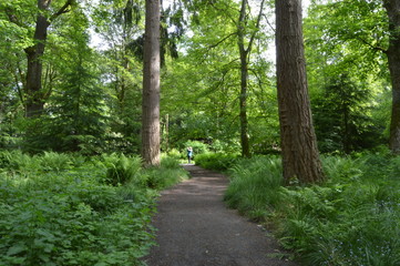 Scone Palace Gardens, Perth, Scotland