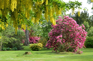 Scone Palace Gardens, Perth, Scotland