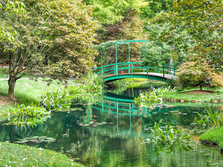 Fototapeta na wymiar Beautiful green bridge reflected in lily pond