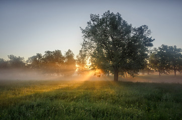 Fototapeta premium landscape photography