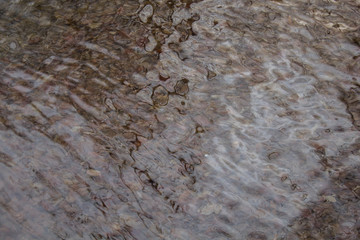 mountain river flows