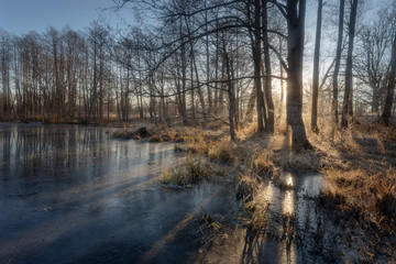 Obraz premium river in autumn