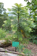 Beautiful Devonshire countryside and gardens near Newton Abbot